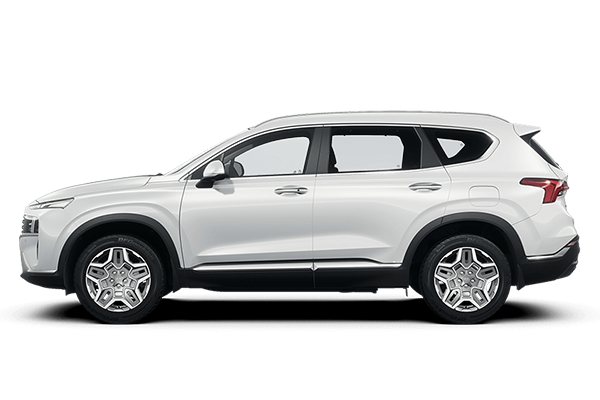 SANTAFE 2.4 XĂNG ĐẶC BIỆT